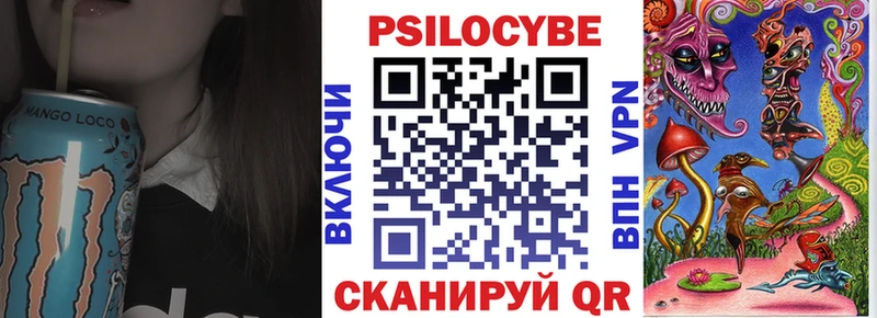 Галлюциногенные грибы Psilocybe  цены   Болохово 