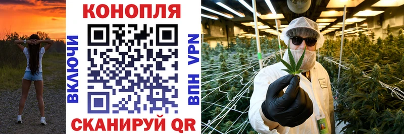 купить закладку  Болохово  OMG как войти  Канабис сатива 